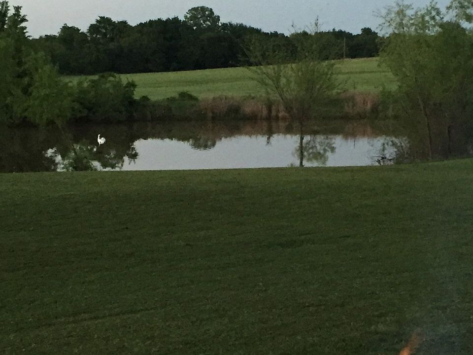 2nd image of 401 Quail Run Rd