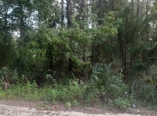 NE 52nd Pl LOT 13, Williston, FL 32696