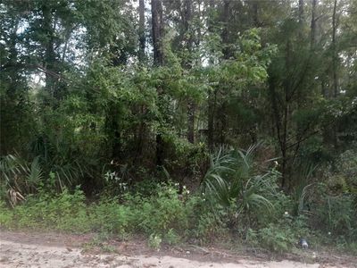 NE 52nd Pl Lot 13, Williston, FL, 32696