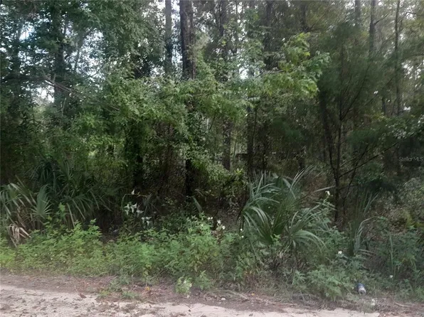 NE 52nd Pl Lot 13, Williston, FL 32696