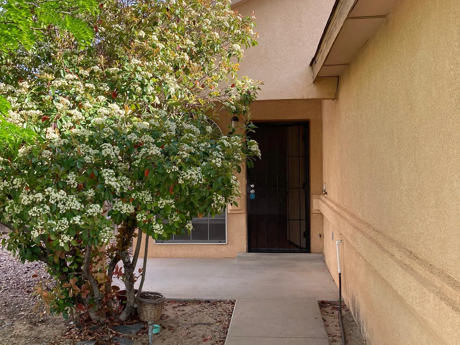 3 bed, 1215 sqft, $1,875 — Photo 4