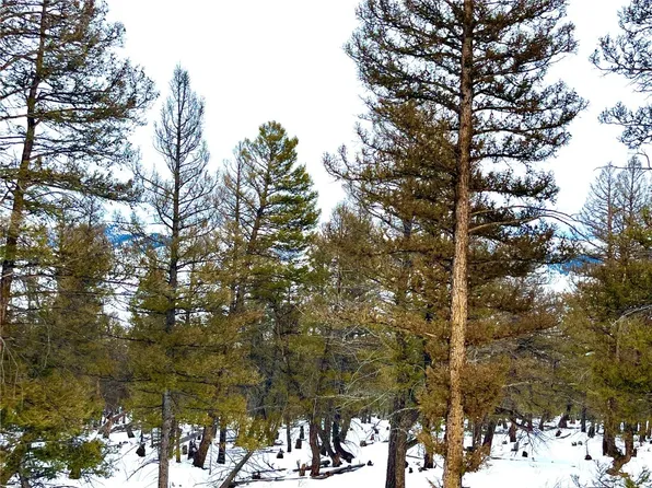 2444 Middle Fork Vis, Fairplay, CO 80440