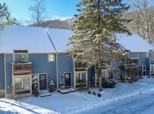 33 Lakeview Ct #2B, McHenry, MD 21541