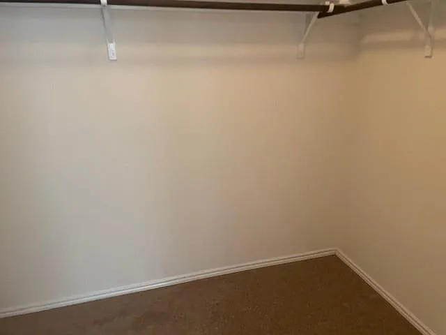 10201 Gertrudis Loop — Photo 19