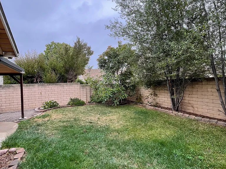 Backyard with Avocado Tree & Mature Landscaping