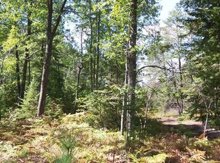 Ward Branch Rd, Hawks, MI 49743