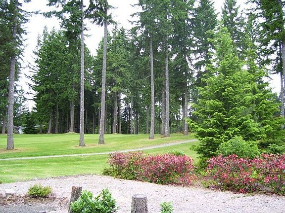 looking across 5th fairway watching the neighbors shank their shots