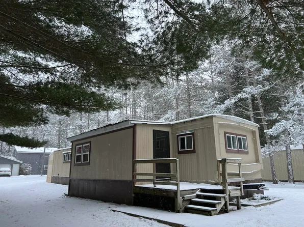 6223 W Tower View Rd, Irons, MI 49644