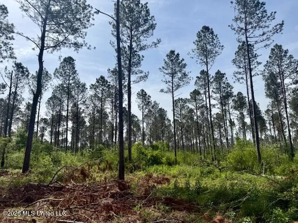 Rutland Rd, Jayess, MS 39641