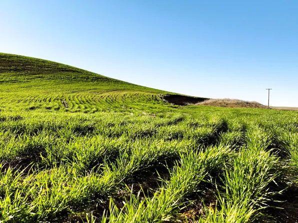 S Juniper Canyon Rd, Helix, OR 97835