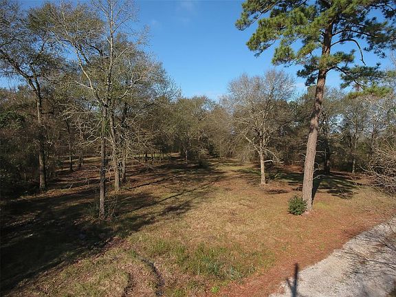 Lots of trees and a level lot as well.