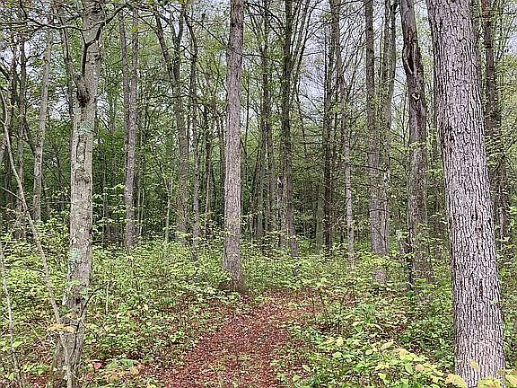 To the Kal-Haven trail