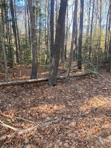 0 Island Point Rd, Heathsville, VA, 22473