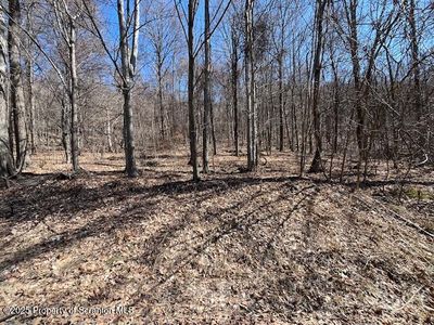 LOT 37 Johnson Hill Rd, Carbondale, PA, 18407