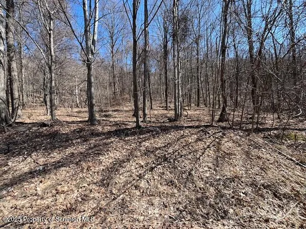 LOT 37 Johnson Hill Rd, Carbondale, PA 18407