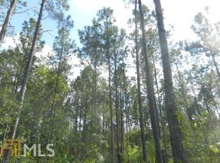 63+ Ac. Perkins Rd, Milner, GA 30257