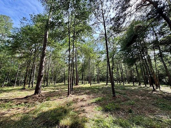 4th image of 13A-1 Texas Grand Rd