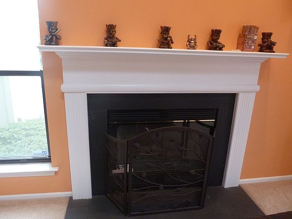 Woodburning Fireplace