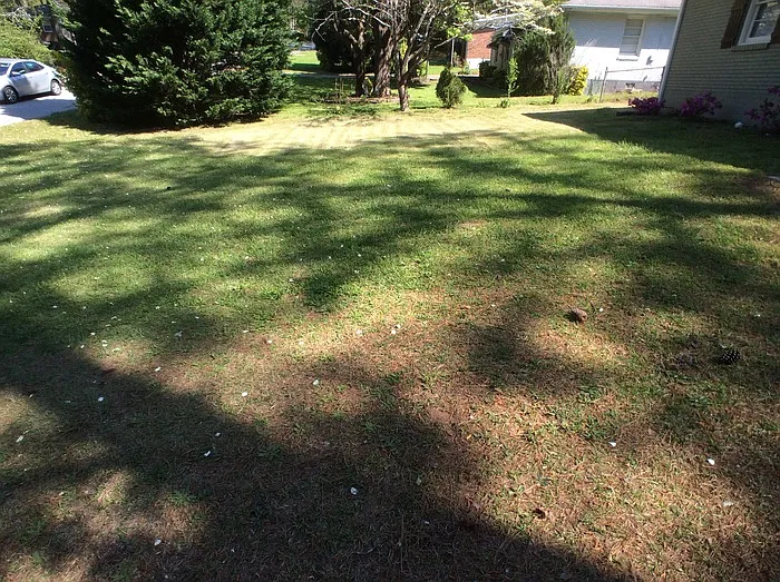 2892 Horse Shoe Dr — Photo 21