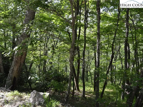 TBD Rocky Mountain Road, Sparta, NC 28675
