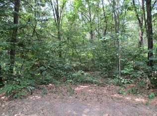 10539 Bertha Dr, Trufant, MI 49347