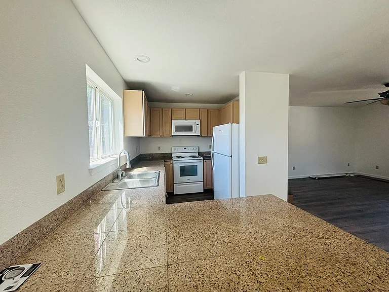 Live Oak Dr — Photo 5