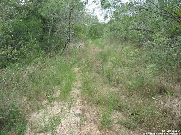 280 Nene Ln LOT 529, Bastrop, TX 78602
