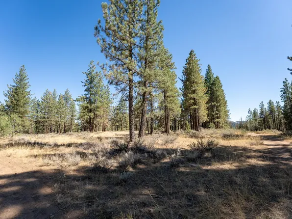 167 Cougar Way, Portola, CA 96122