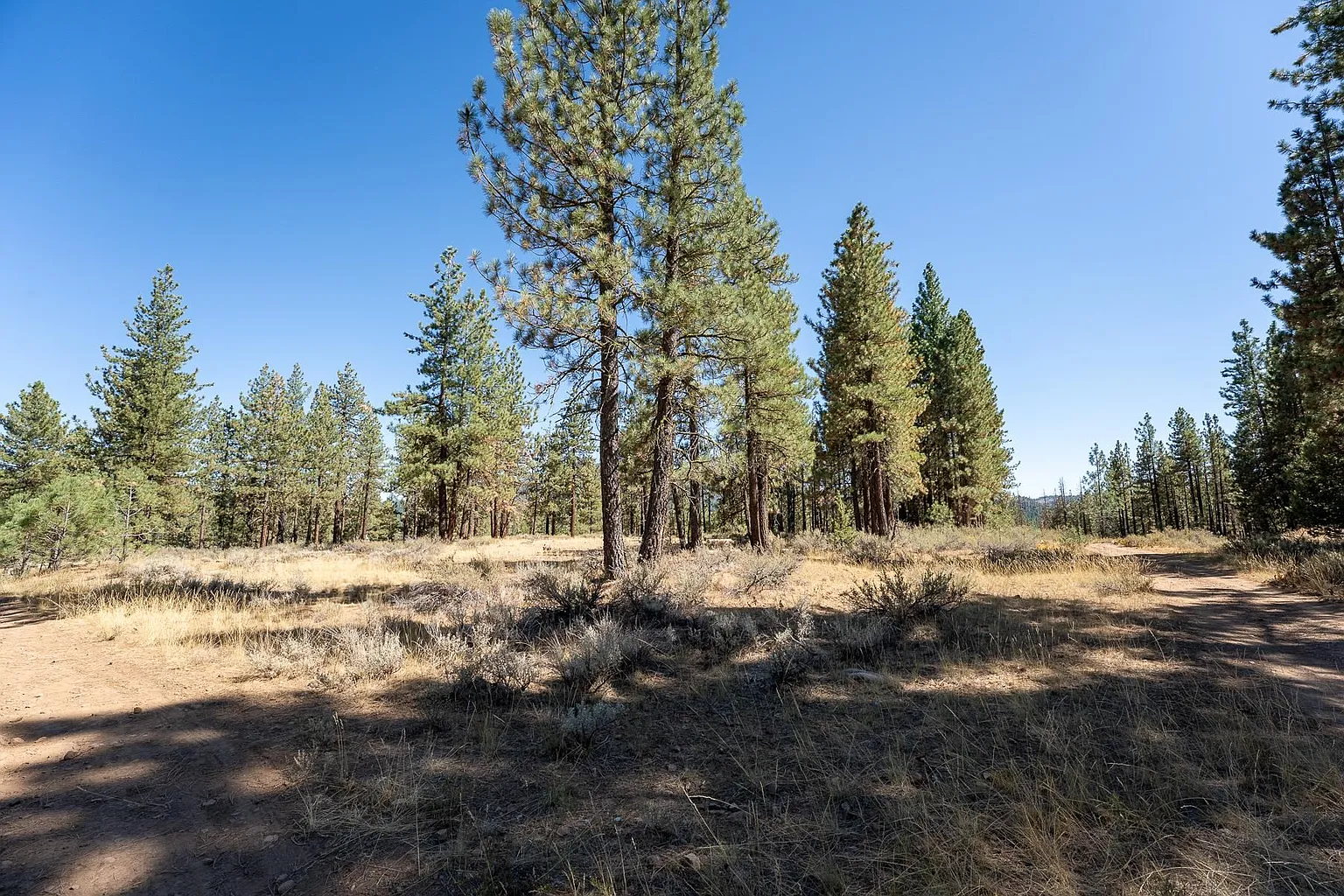 167 Cougar Way photo 1