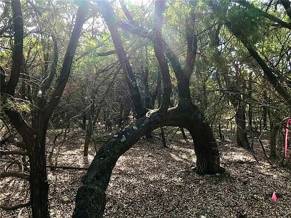 2nd image of 8126 Chantilly Trl