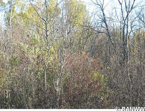 1st image of 0 Hwy V