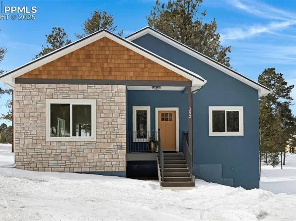 393 S Mountain Estates Rd, Florissant, CO 80816