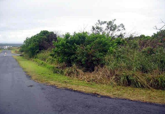 3rd image of Kia Kahi St Lot 757
