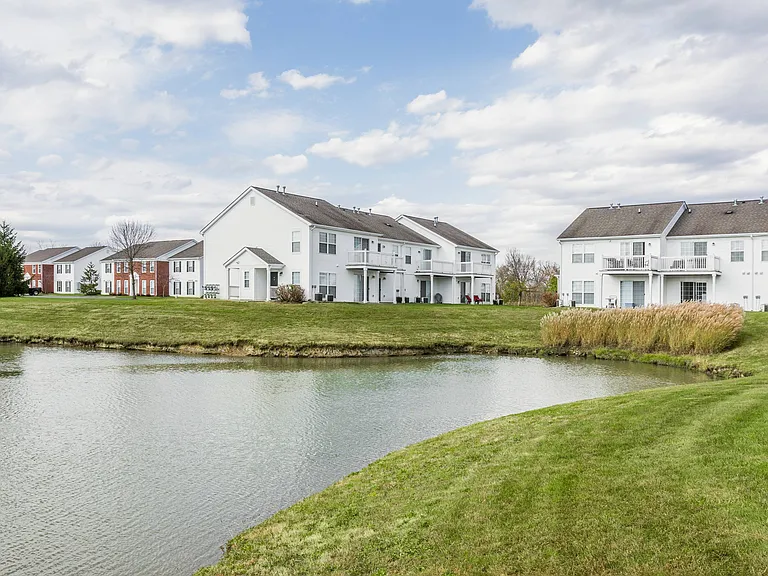 Pond Views