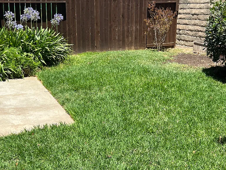 176 Shamrock Ct — Photo 19