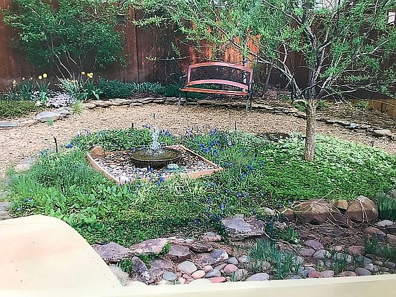 Back garden with fountain