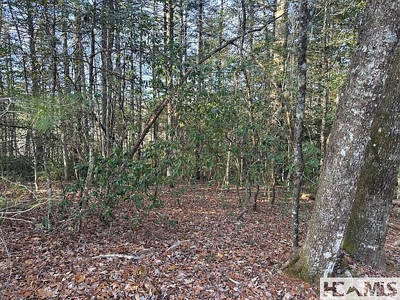 4th image of TBD Kim Miller Road