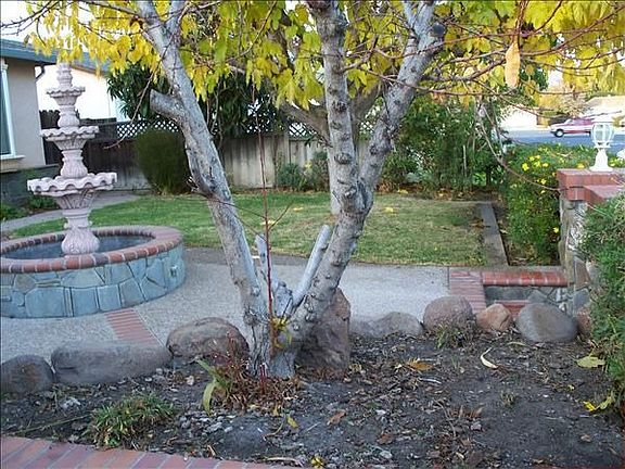2nd image of 2395 Dover Way