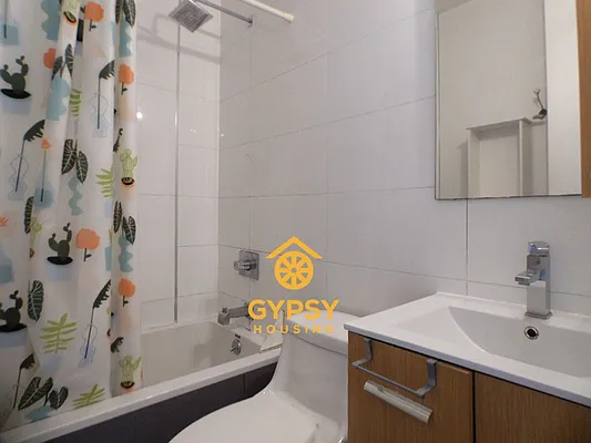 Rented by Gypsy Housing LLC | media 34