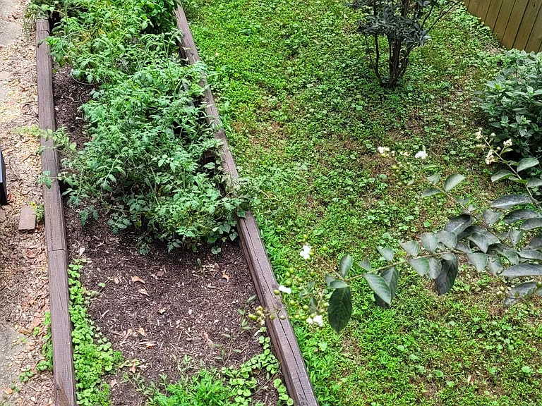 Raised garden bed