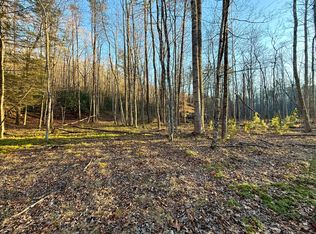 0 Dicks Creek Rd LOT 4-8, New Castle, VA 24127