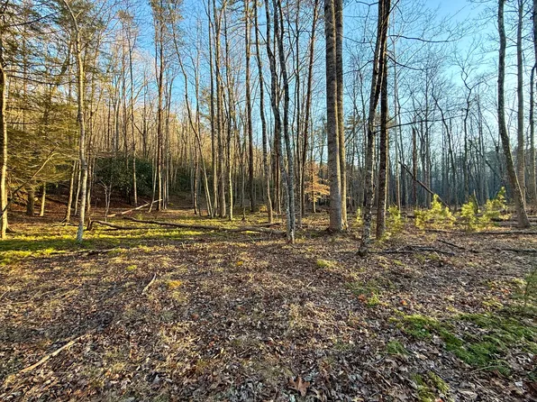 0 Dicks Creek Rd Lot 4-8, New Castle, VA 24127