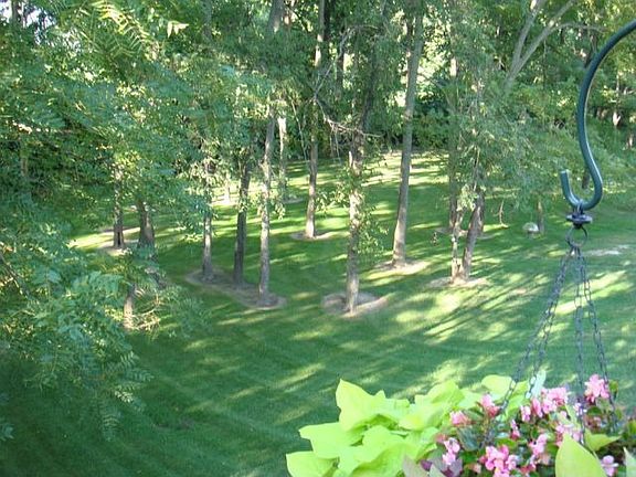 1 acre lot