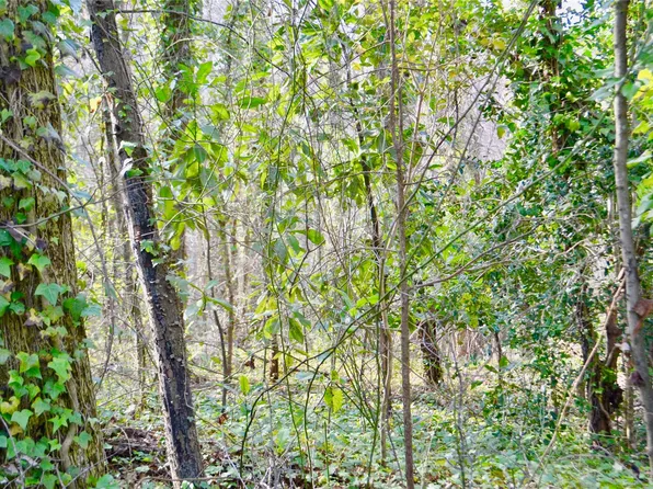 0 Oakland Rd, Spindale, NC 28160