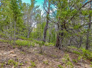 111 Mosquito Creek Road, Black Hawk, CO 80422
