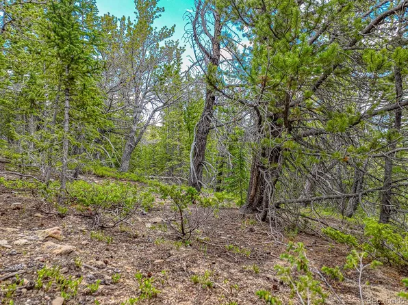 111 Mosquito Creek Road, Black Hawk, CO 80422