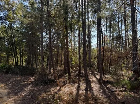 Tbt 5th Way Lot 20, Interlachen, FL 32148