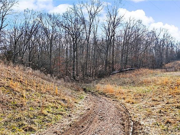 2nd image of Coose Hollow Dr