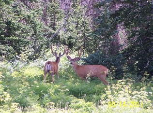 445 W Ski View Dr., Brian Head, UT 84719