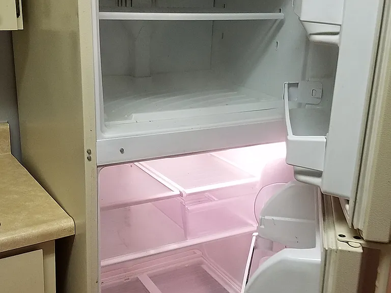 Kitchen Refrigerator
